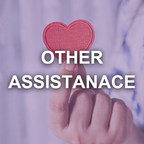 other assistance other assistance
