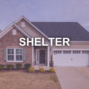 shelter thumbnail