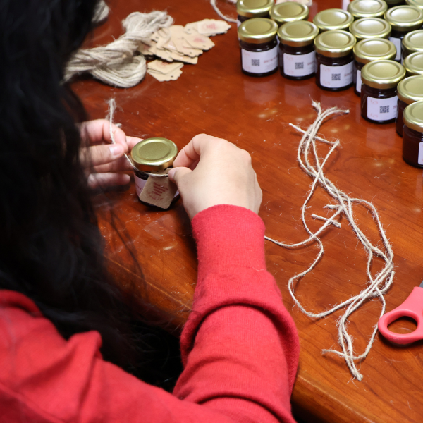 special projects volunteer special projects volunteer